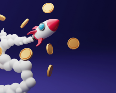 principles for investment decision-making